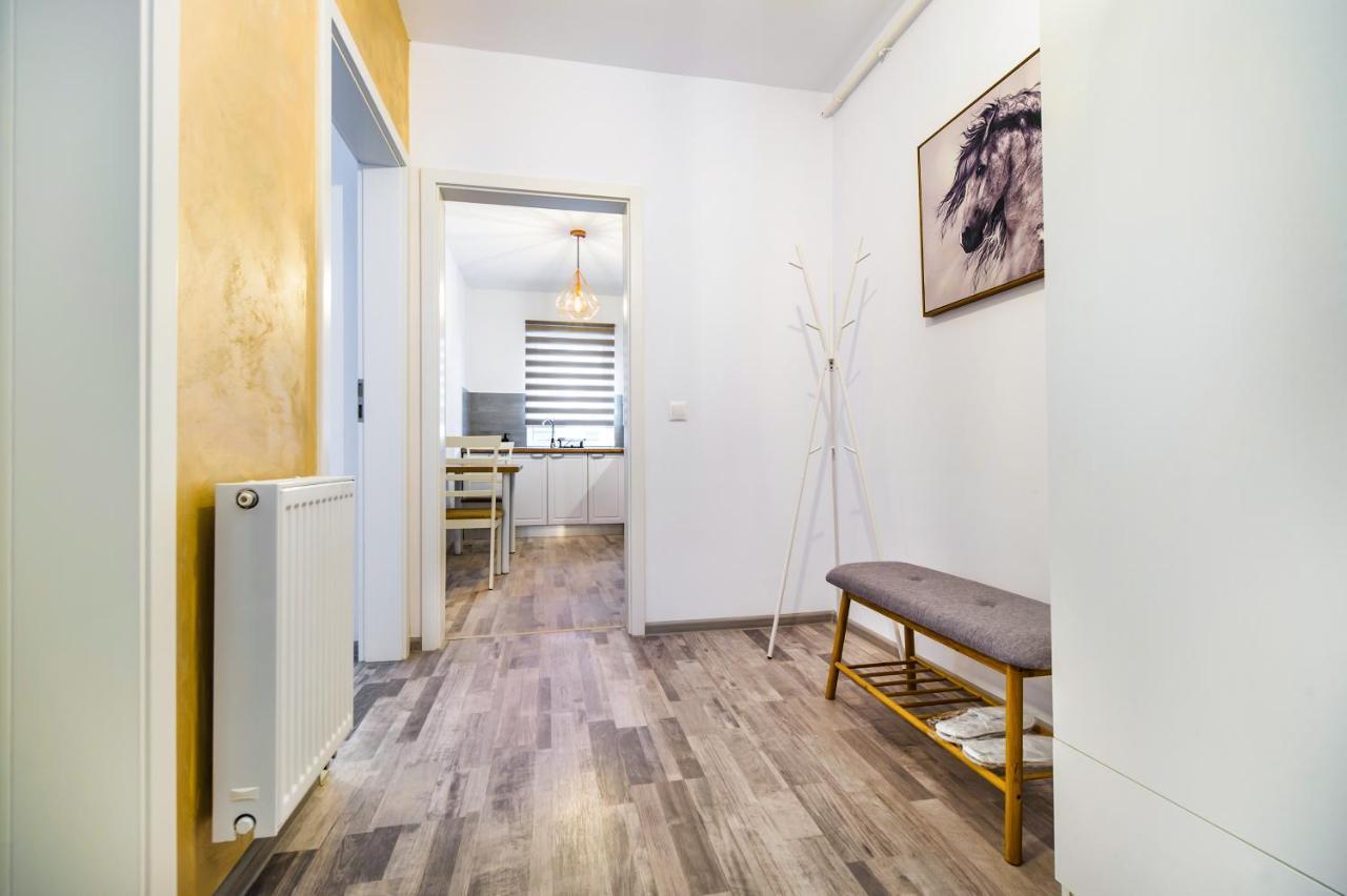 All Homes By Nati Braşov Extérieur photo
